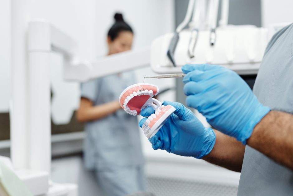 Dentist holding a dental model and scaler in a clinic for oral hygiene demonstration.