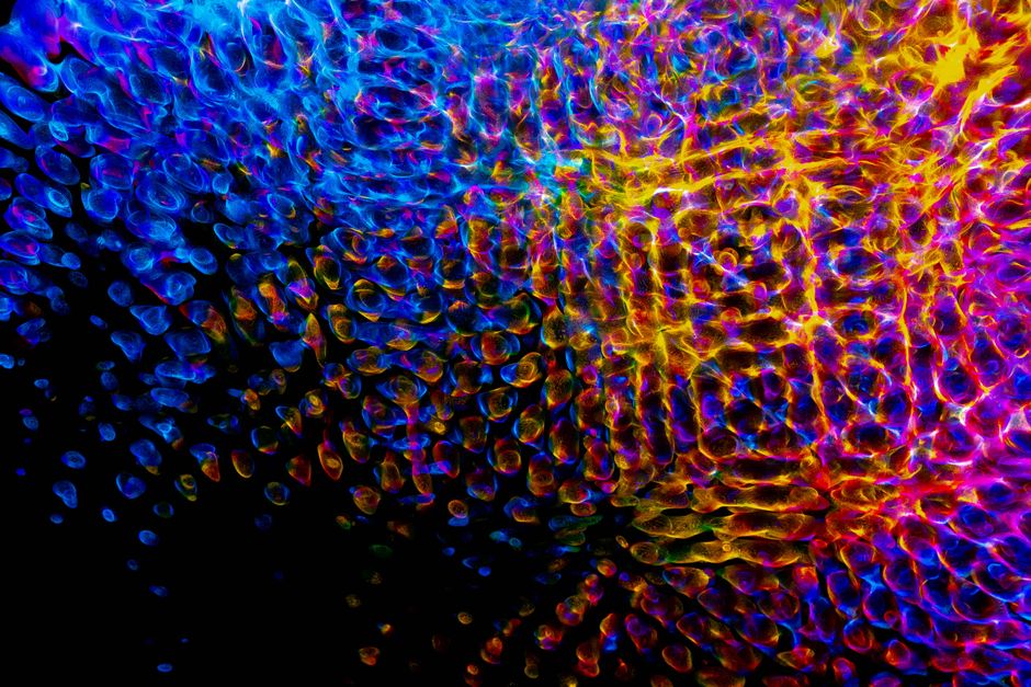 A mesmerizing abstract pattern with vibrant colors and digital texture, perfect for creative backgrounds.