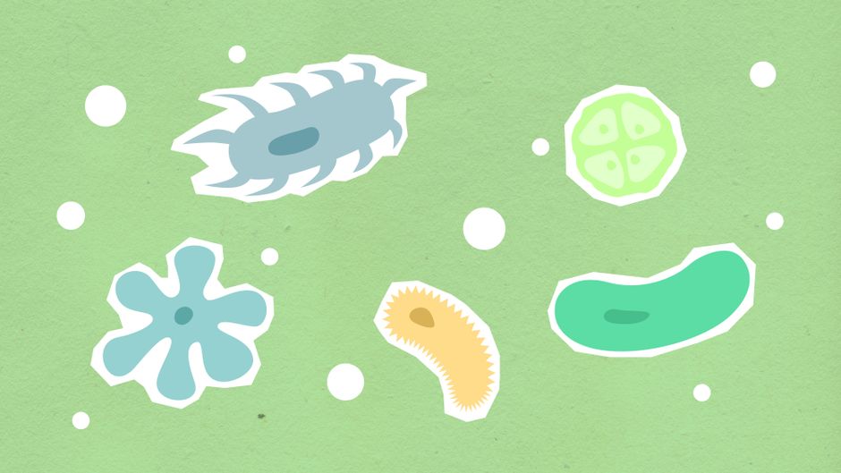 Paper cutout of different shapes and colors contagious types of viruses on green background during disease outbreak