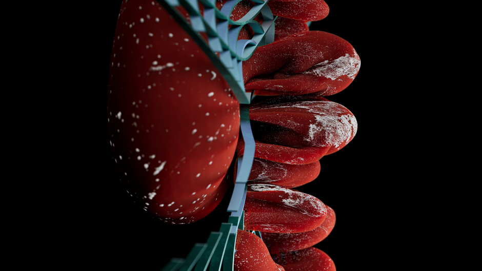 Intriguing abstract 3D render showcasing a red organic form with intricate textures.