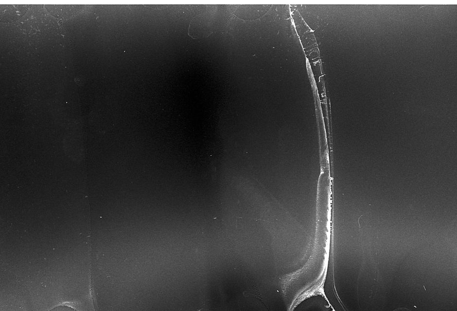 Abstract black and white texture with granular patterns and unique marks.